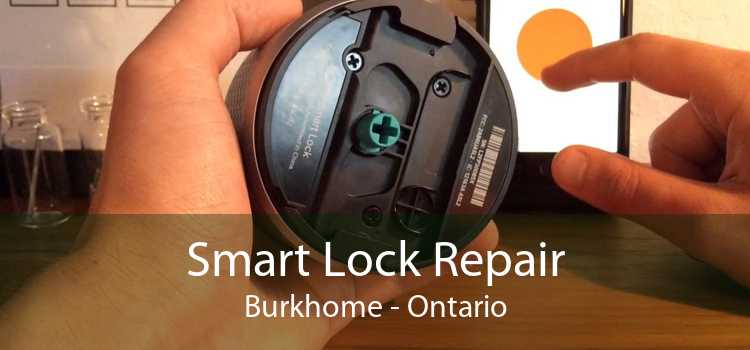 Smart Lock Repair Burkhome - Ontario
