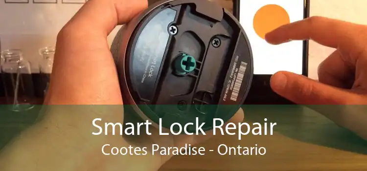 Smart Lock Repair Cootes Paradise - Ontario