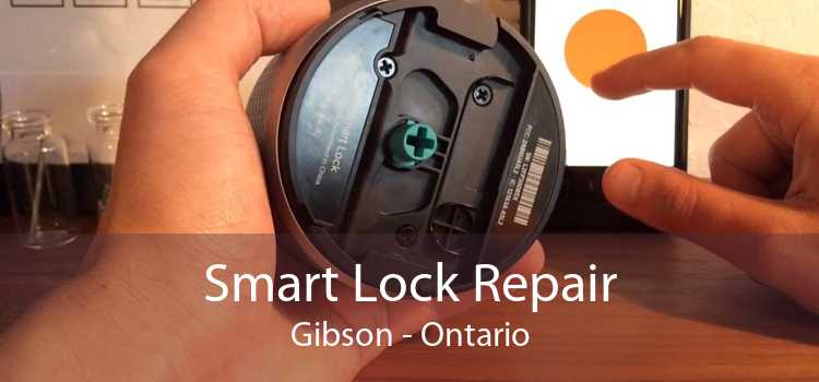 Smart Lock Repair Gibson - Ontario