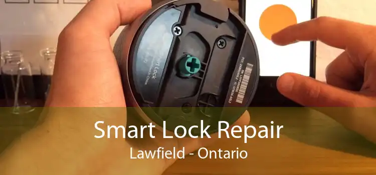 Smart Lock Repair Lawfield - Ontario