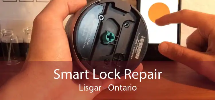 Smart Lock Repair Lisgar - Ontario