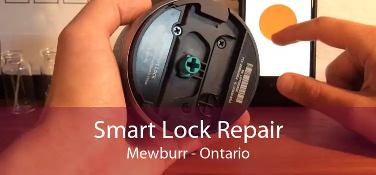 Smart Lock Repair Mewburr - Ontario