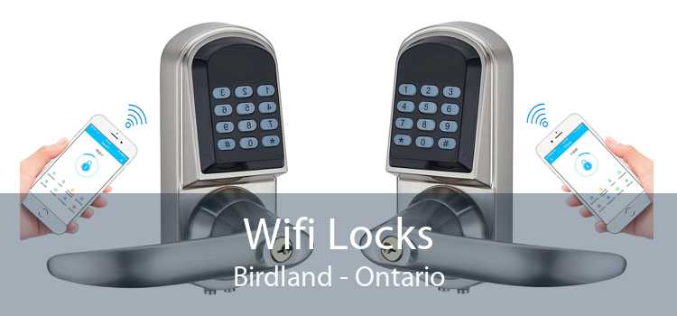 Wifi Locks Birdland - Ontario