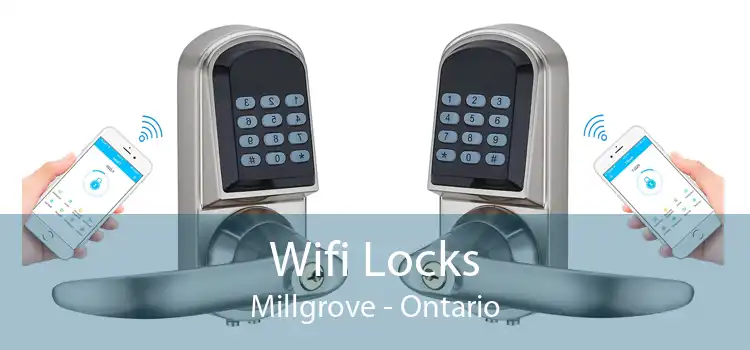 Wifi Locks Millgrove - Ontario
